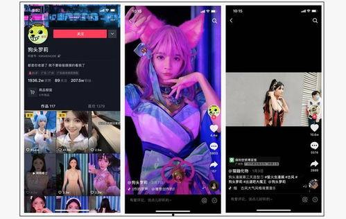 网红爆料全部视频大全,揭秘热门事件幕后真相